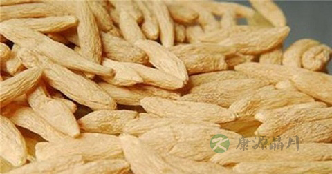 麦冬的适用人群
