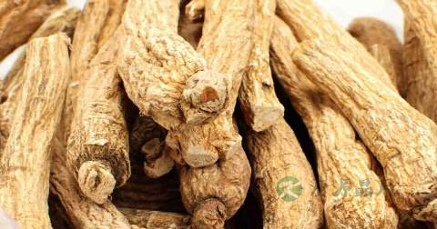 肾阳虚可以吃西洋参吗