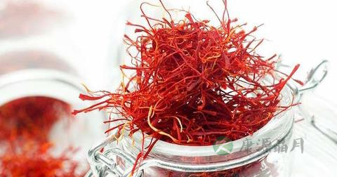 藏红花能和绿茶一起泡吗