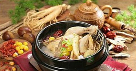 红参怎么切片