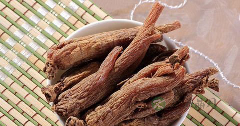红参什么季节吃最好
