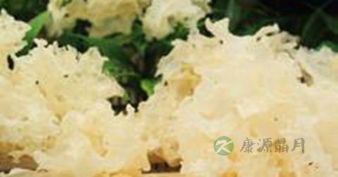 黄木耳是银耳吗
