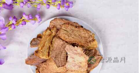 小孩能吃肉苁蓉吗