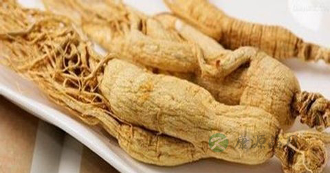 肾虚可以吃人参吗