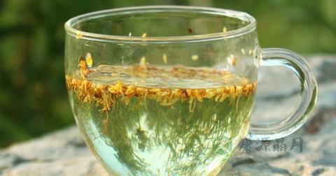 桂花茶可以天天喝吗
