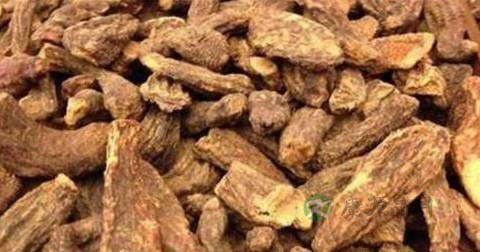 肉苁蓉怎么处理
