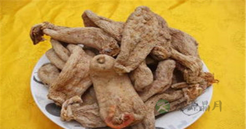 天麻可以经常吃吗