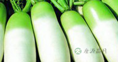 西洋参怎样切片