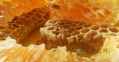 野生蜂胶怎么吃