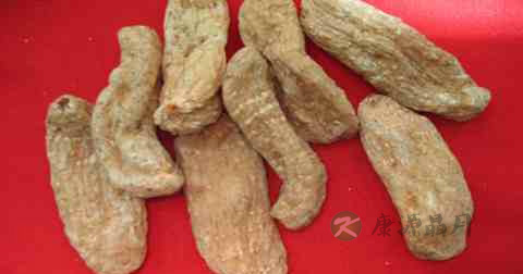 天麻炖什么最好