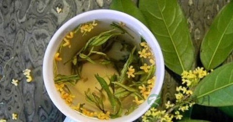 怎样制作桂花茶