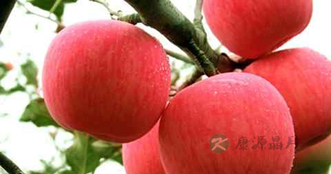 手术后能吃当归吗