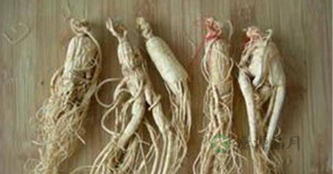 西洋参茶的功效