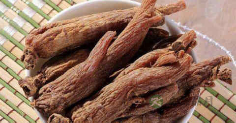 尿毒症患者吃红参好吗