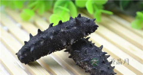 海参适合什么样的人吃