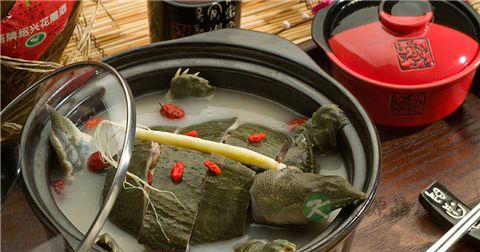 甲鱼的做法大全