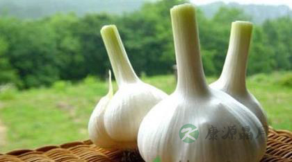 盘点最养男人的18种食物