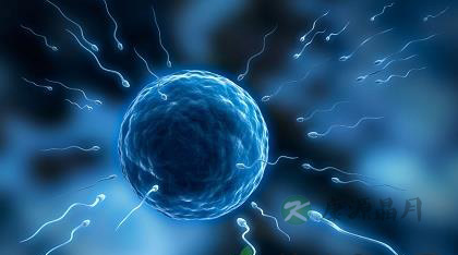 详解精子在不同环境下的存活时间 详解精子在不同环境下的存活时间