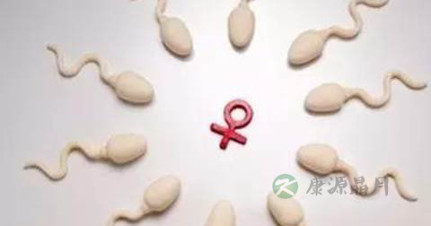 男性备孕期间注意事项