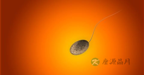精子能活多久