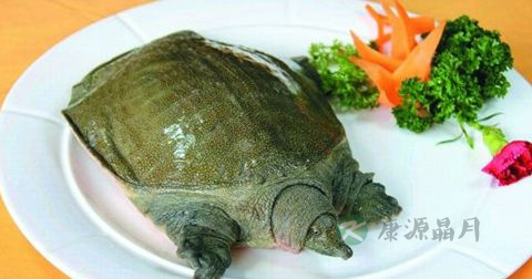 喝甲鱼血能治阳痿吗