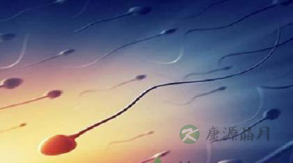 详解精子在不同环境下的存活时间