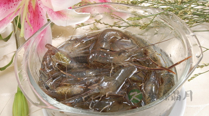 六大虾类菜谱有壮阳奇效