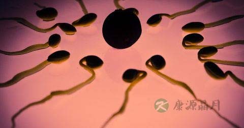 50岁男人精子存活率高不高