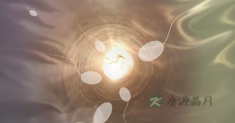 精子能美容吗