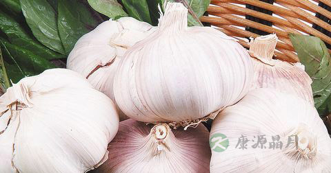 吃蒜增男人味！最健康的大蒜食谱大全