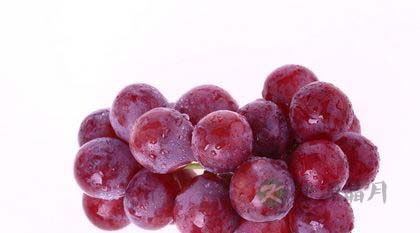 18种食物有效帮助女人补血