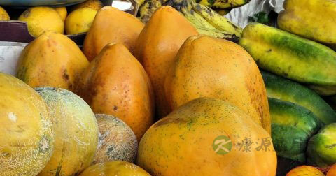 女性月经期能吃芒果吗