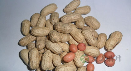 冬季女性保健16大天然食物