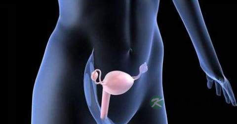 卵巢上长瘤什么原因引起