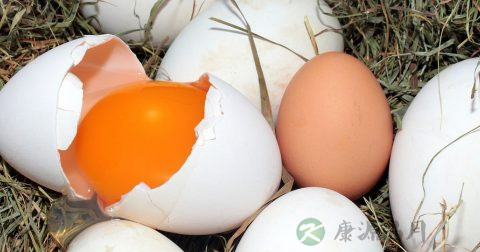 附件炎症和卵巢有关系么