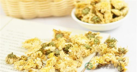 女性滋阴食物有哪些