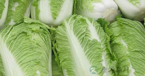 女人吃什么水果才减肥最快