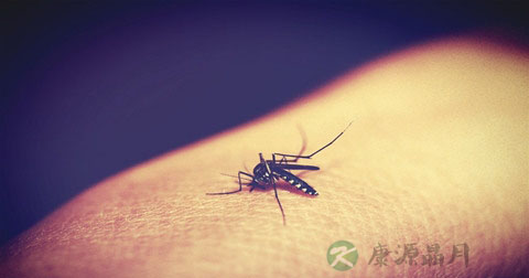 感染寨卡病毒后多久可怀孕