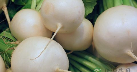 北方月子食谱单