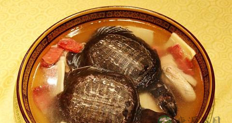 孕妇能不能喝乌龟汤