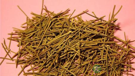 麻黄对孕妇有影响吗