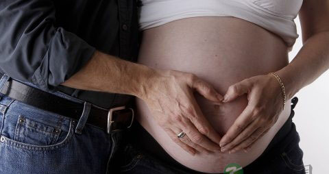 怀孕前三个月能吃燕窝吗