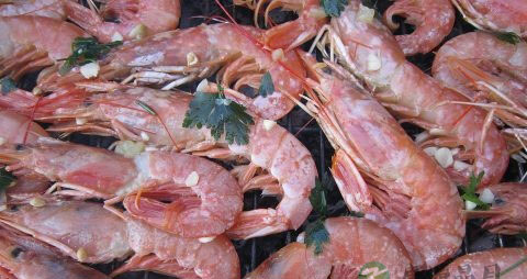 36岁还能怀孕吗