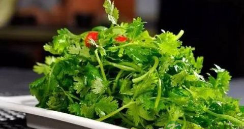 孕妇香菜吃多了好吗