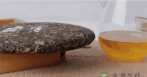 怀孕可以喝菊花茶吗