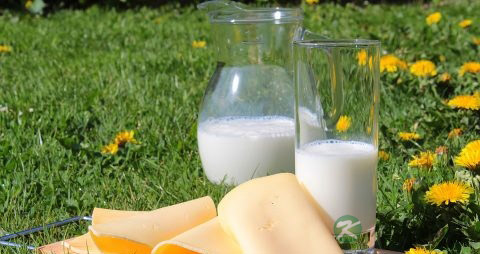 怎样检查母乳里有没有激素