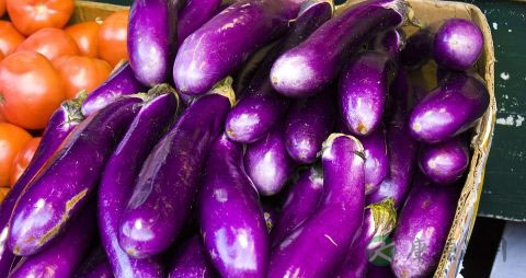 怀孕能吃野生菌吗