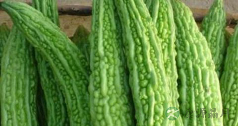 老人的夏季养生小知识
