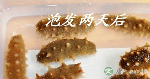 老人吃海参有什么好处吗