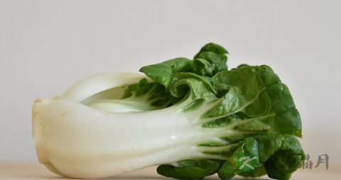 老人吃青菜中毒症状